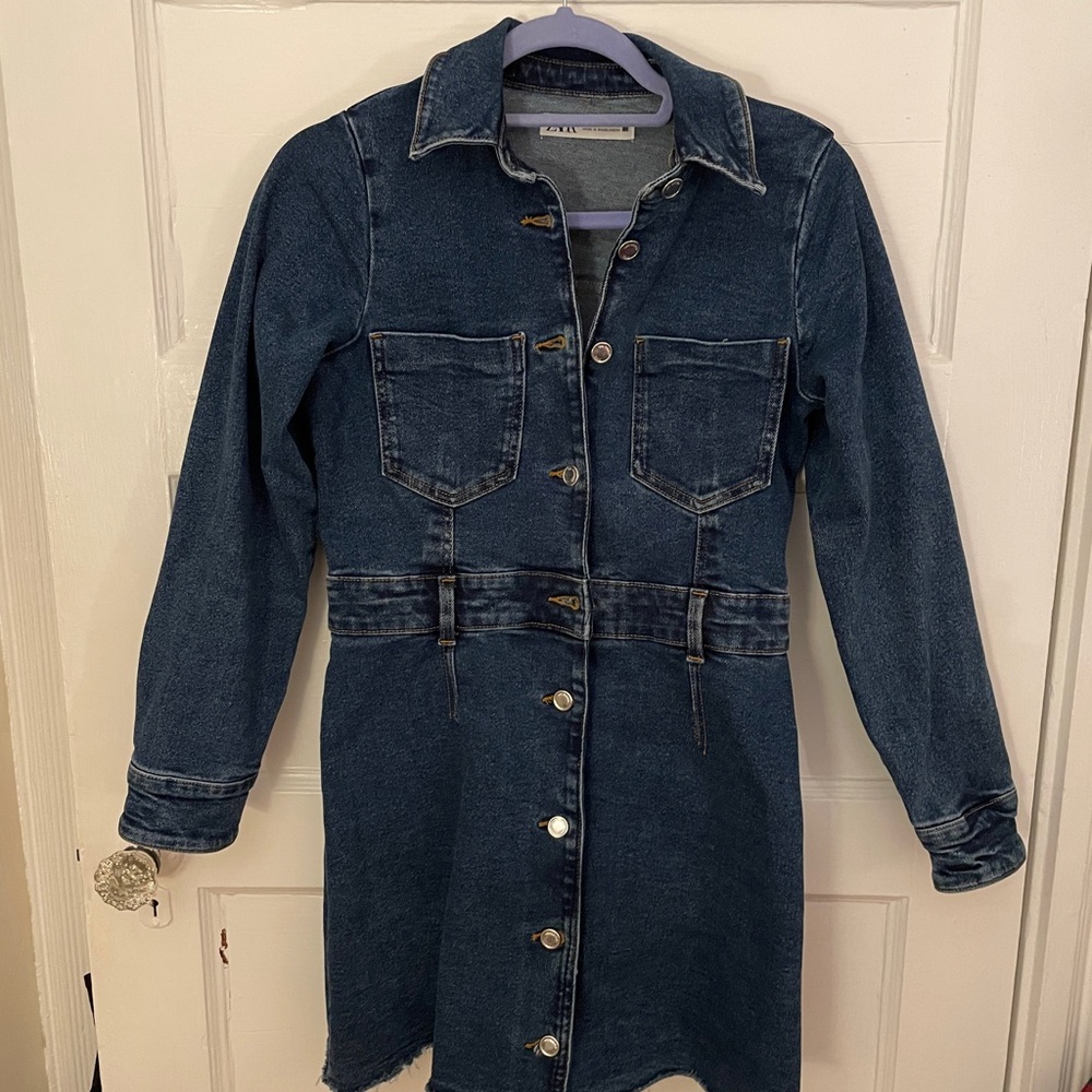 Zara Denim Button-Up Dress